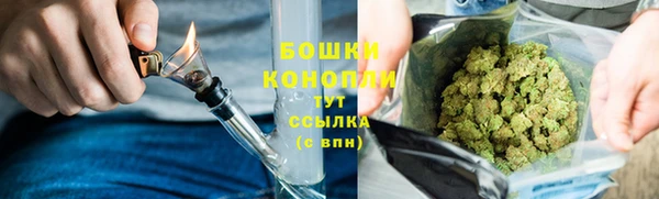 трава Аркадак