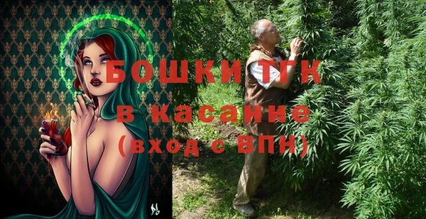 трава Аркадак