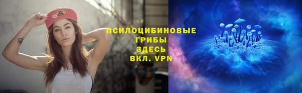 трава Аркадак