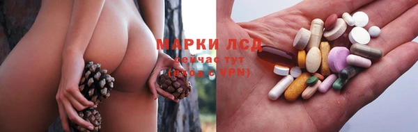 трава Аркадак
