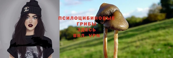 молекула духа Армянск